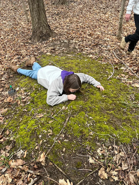 Child lying on a bright green moss patch in a winter forest, closely observing the forest floor during a nature exploration.