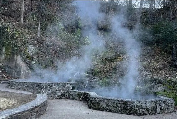 Steam rises from natural hot springs surrounded by stone retaining walls and wooded hillside in Hot Springs National Park.